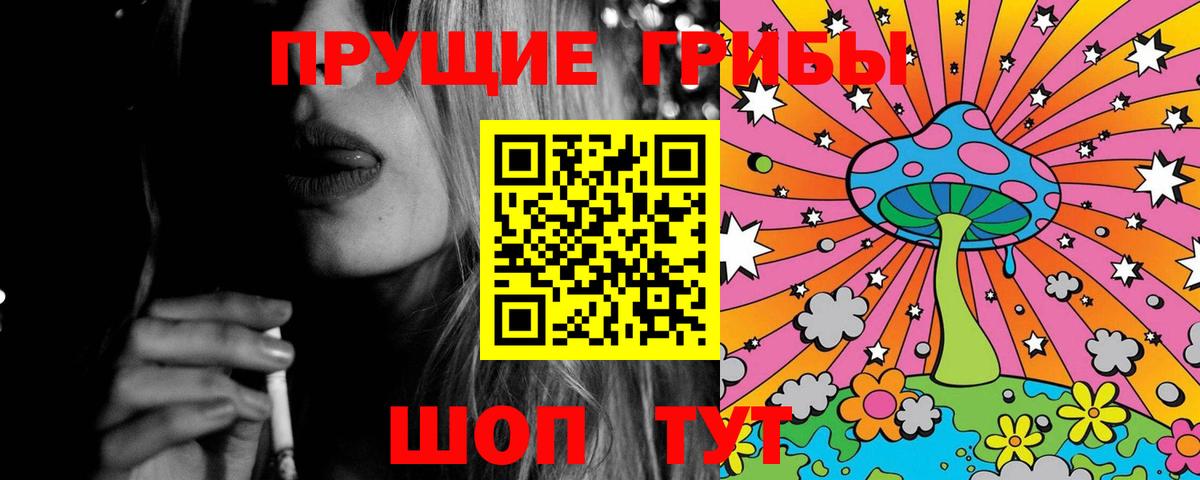 Галлюциногенные грибы Psilocybe Советский